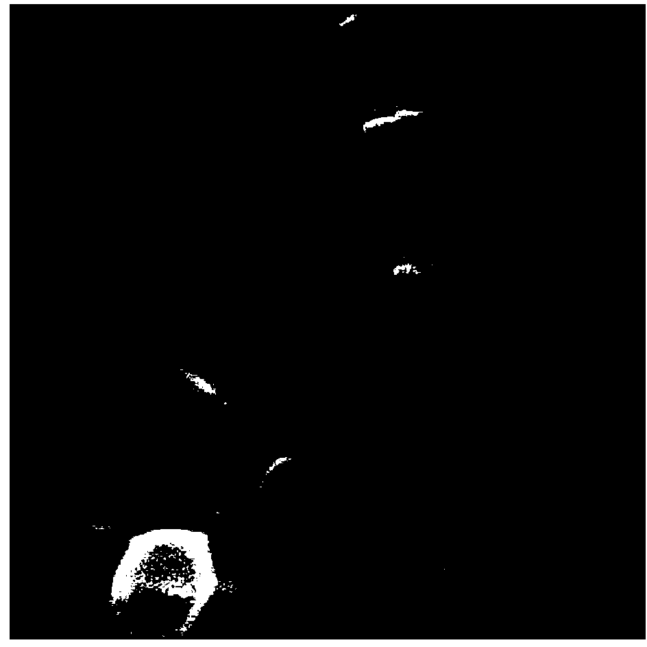 Carbon coated lithium manganese phosphate/lithium iron phosphate core-shell structure material as well as preparation method thereof