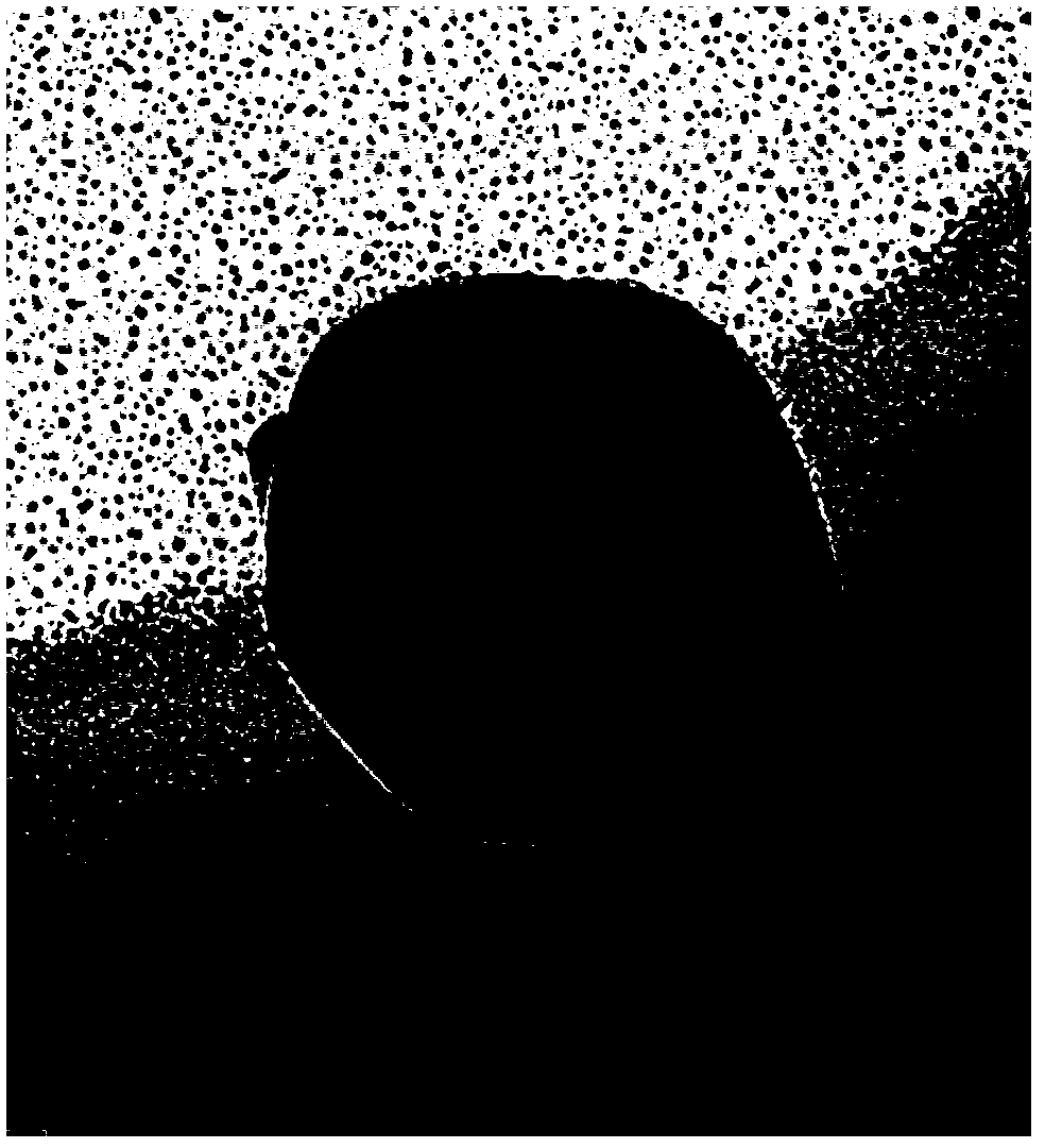 Carbon coated lithium manganese phosphate/lithium iron phosphate core-shell structure material as well as preparation method thereof