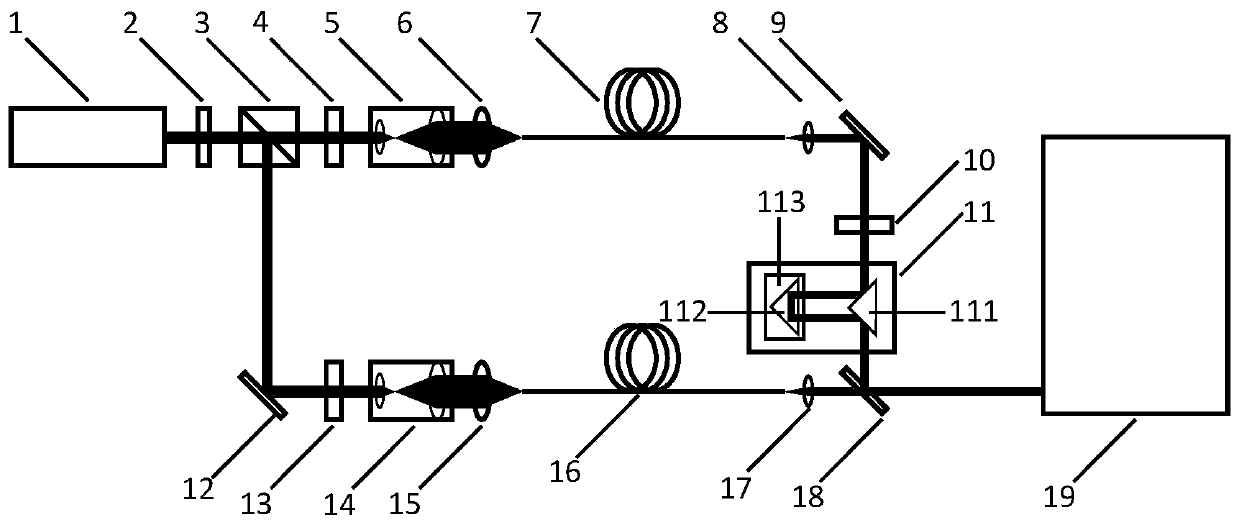 Optical fiber birefringence effect-based time-resolved CARS microscopic imaging device and method