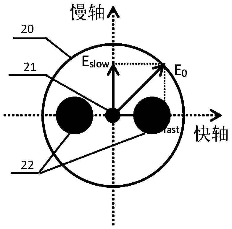 Optical fiber birefringence effect-based time-resolved CARS microscopic imaging device and method