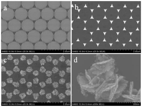 Silver nanoflake cluster array and preparation method thereof