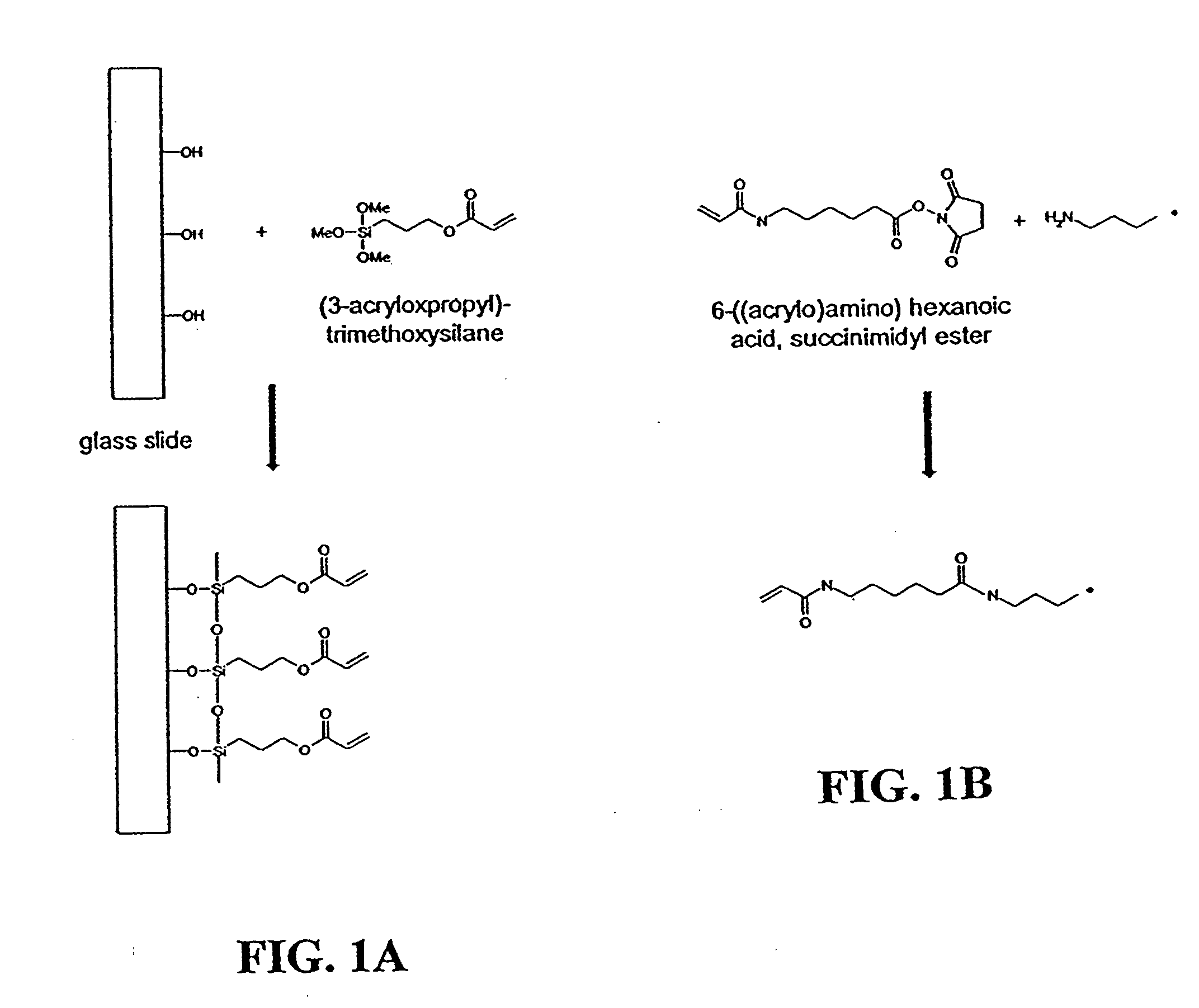 Hydrogels for biomolecule analysis and corresponding method to analyze biomolecules