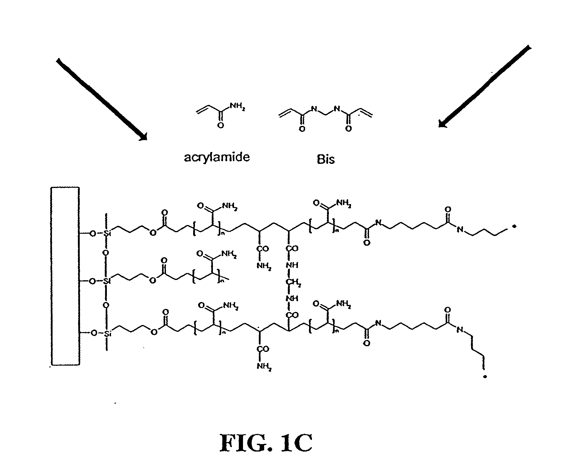 Hydrogels for biomolecule analysis and corresponding method to analyze biomolecules