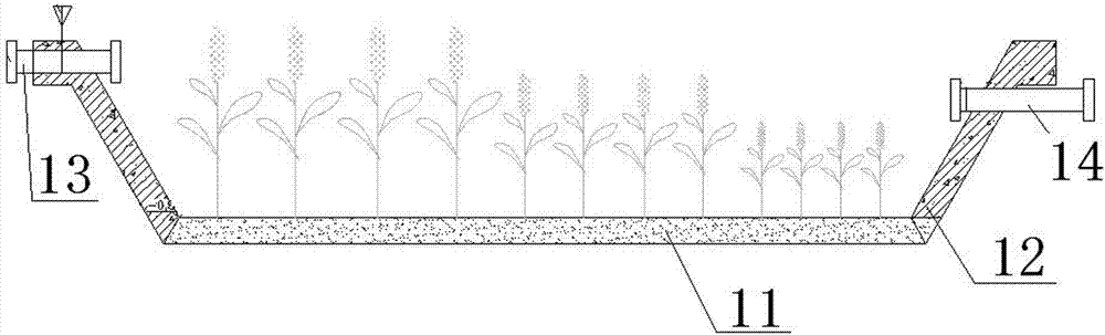 Method for efficient removal of heavy metals in farmland irrigation water by plant pond, constructed wetland and adsorption tank