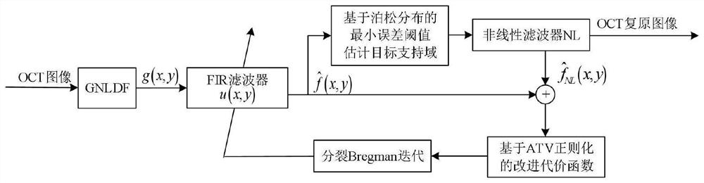 An improved nas-rif method for blind restoration of oct images