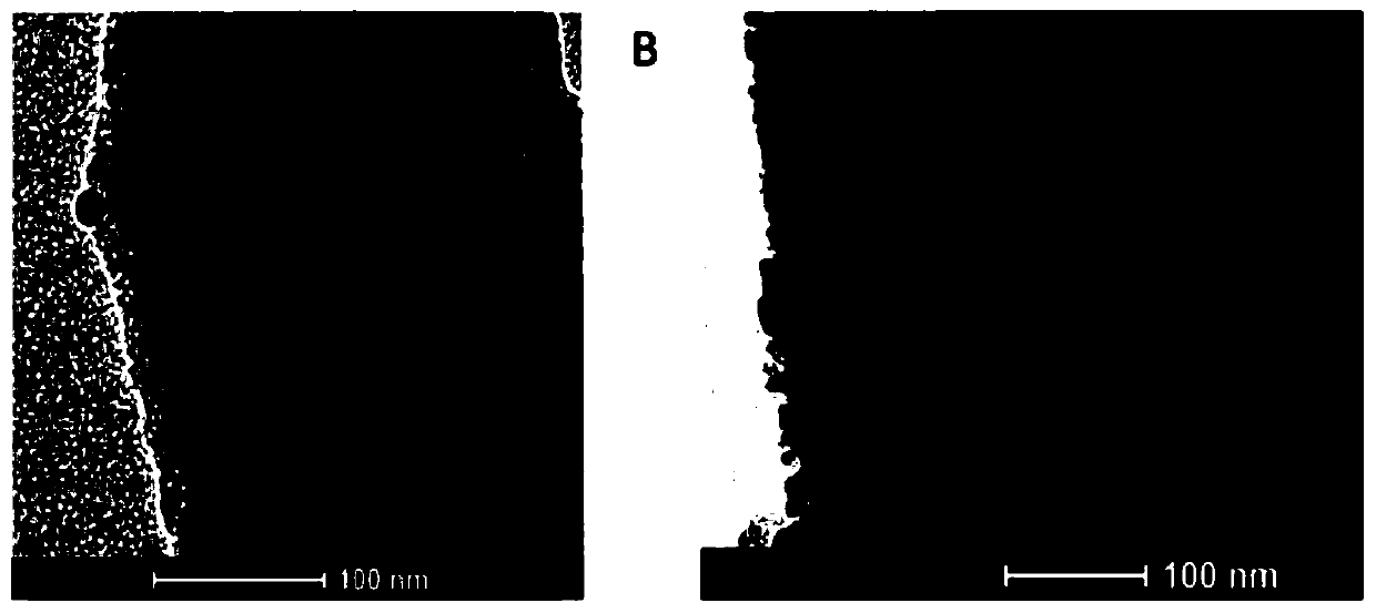 Portable Raman spectroscopy method for detecting pesticide residues in instant tea powder