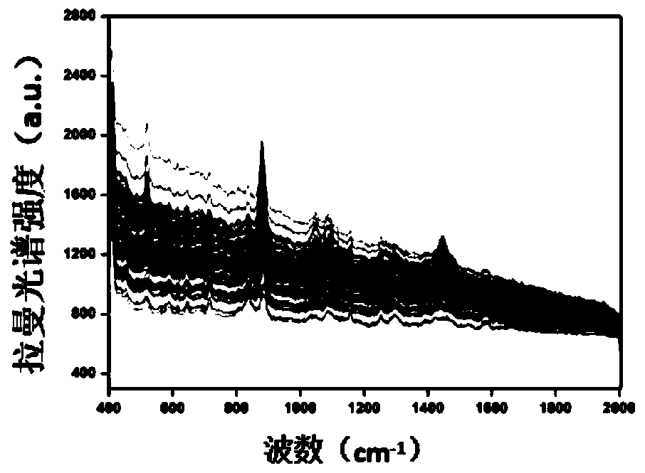 Portable Raman spectroscopy method for detecting pesticide residues in instant tea powder