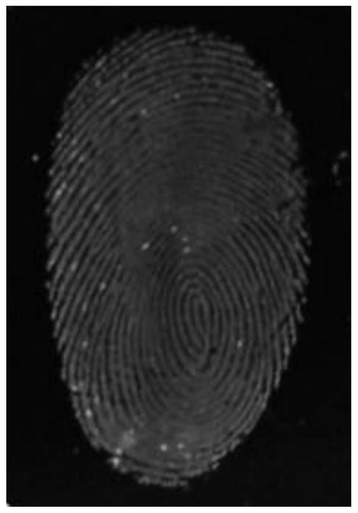 Application of an Aggregation-Induced Fluorescent Probe in Fingerprint Fluorescence Imaging