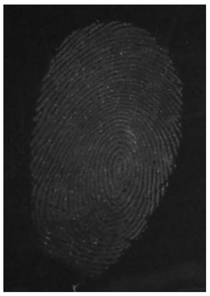 Application of an Aggregation-Induced Fluorescent Probe in Fingerprint Fluorescence Imaging