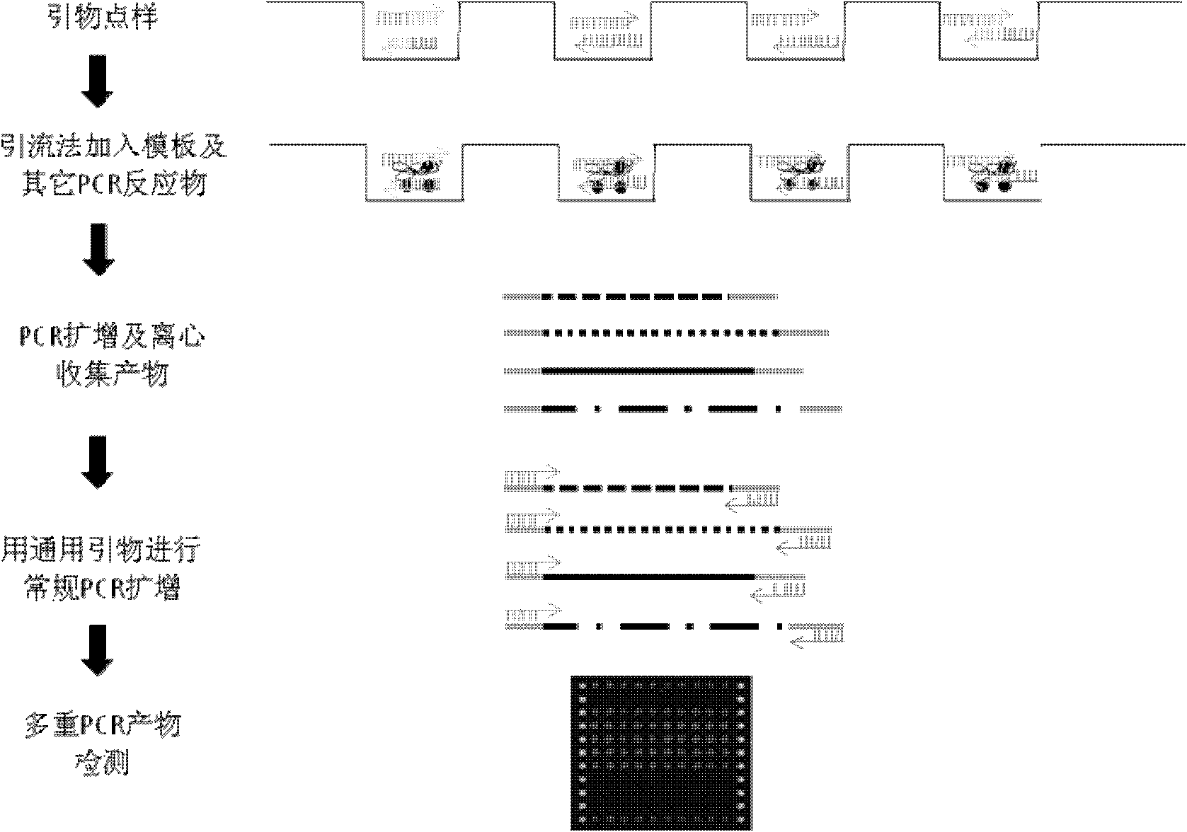 General multiplex polymerase chain reaction realization method based on microarray chip