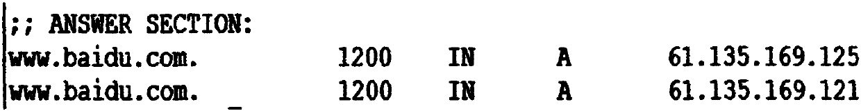 Detection system and method for realizing DNS service defense