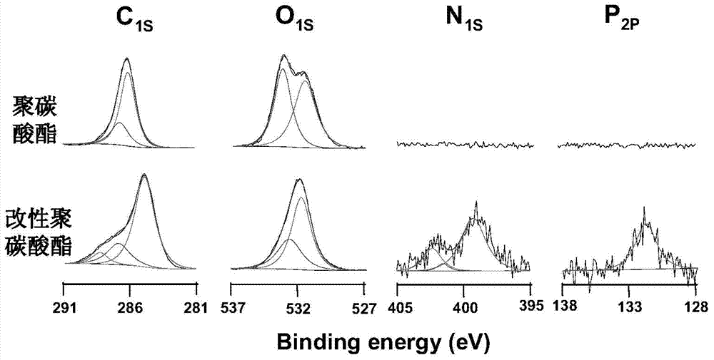 Method for preparing phosphorylcholine biomimetic coating by photocuring