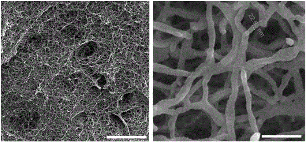 Polybenzoxazole nanofiber high-intensity heat insulation fireproof aerogel and preparation method thereof