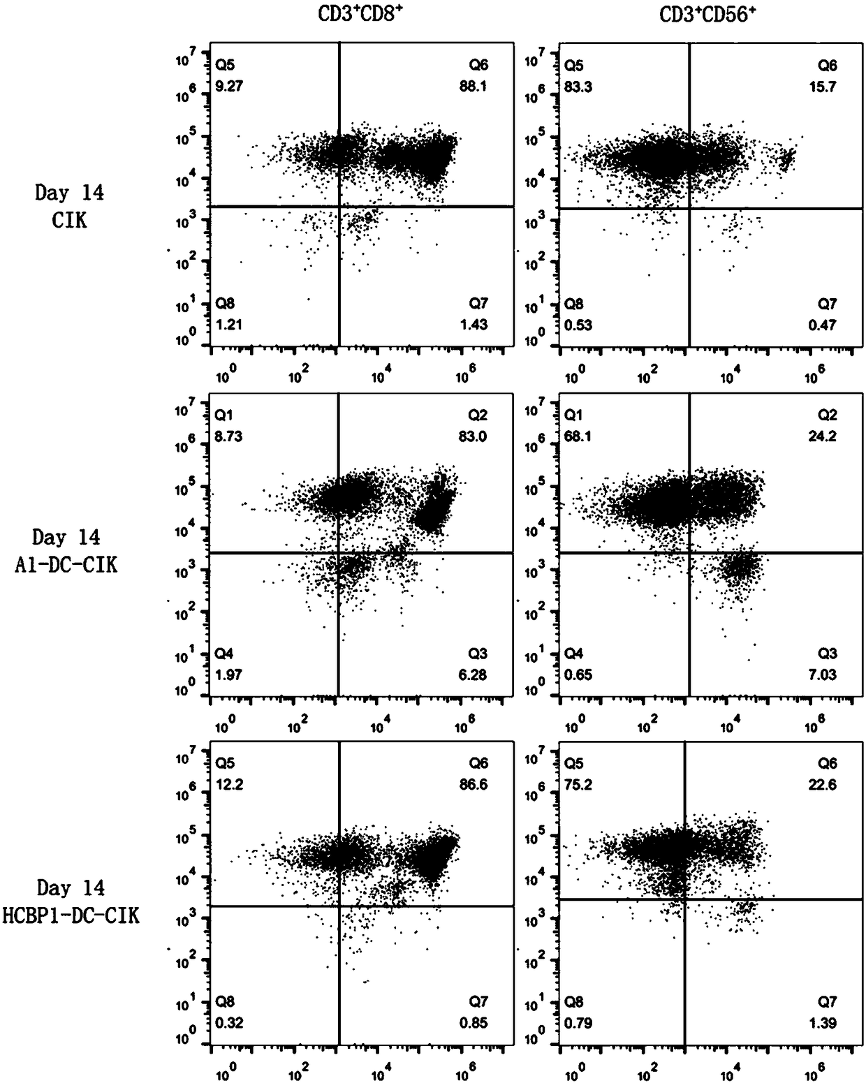 Non-cell-derived polypeptide-sensitized DC-CIK cells, and construction method and application thereof