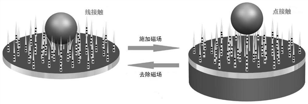 Simple preparation method of magnetic response super-hydrophobic surface