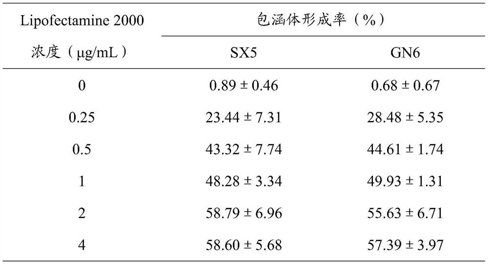 Cell culture method of chlamydia abortus and application