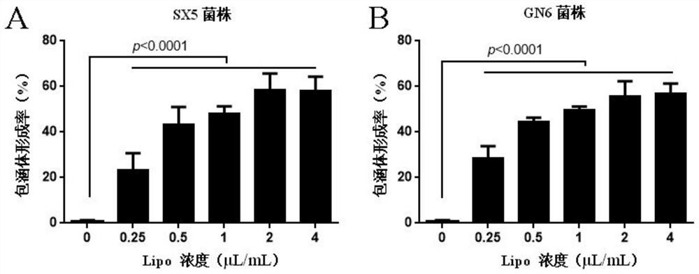 Cell culture method of chlamydia abortus and application