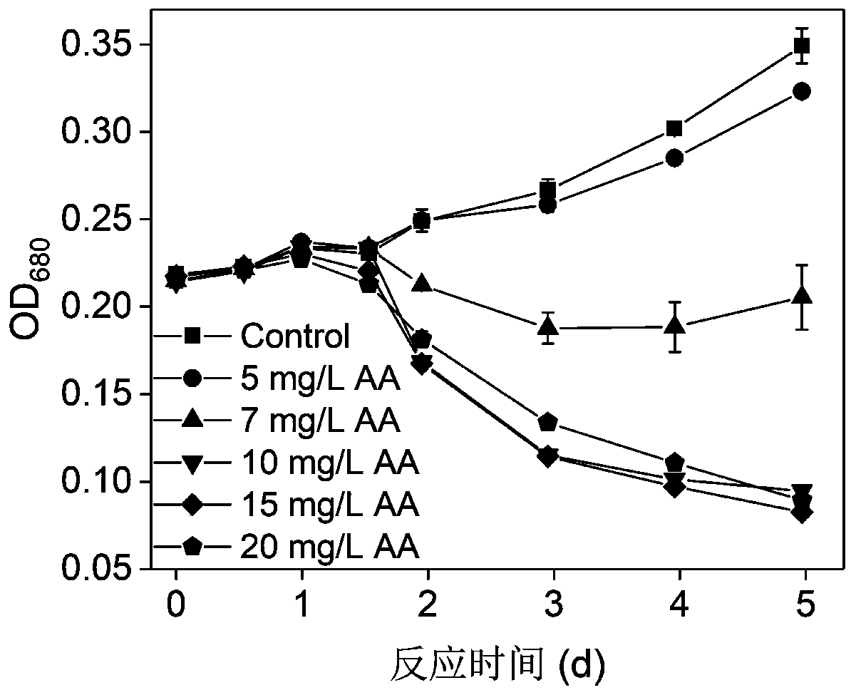 Application of acetylacetone in inhibiting growth of blue-green algae