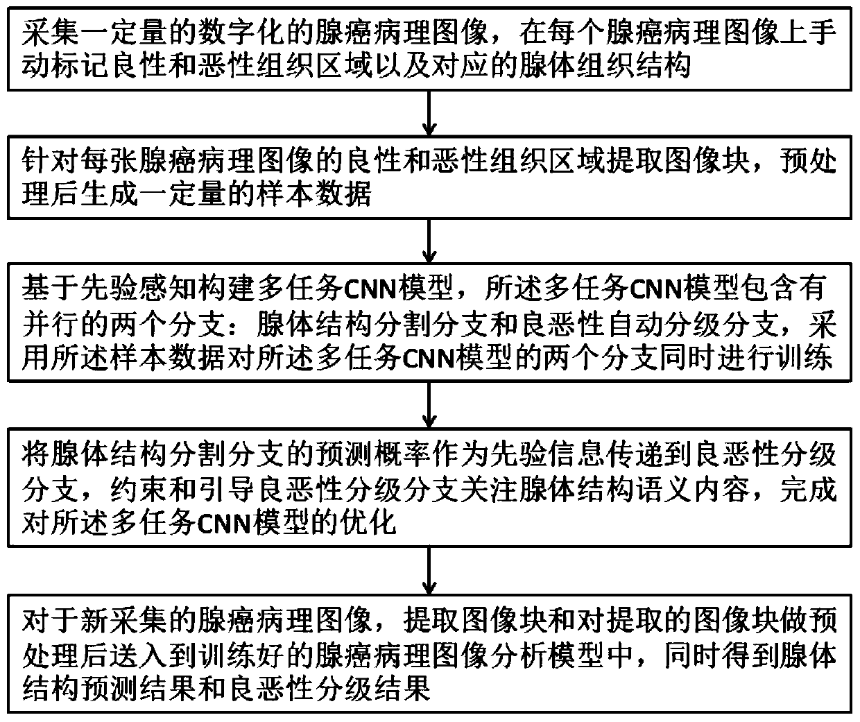 Adenocarcinoma pathological image analysis method based on priori perception and multi-task learning