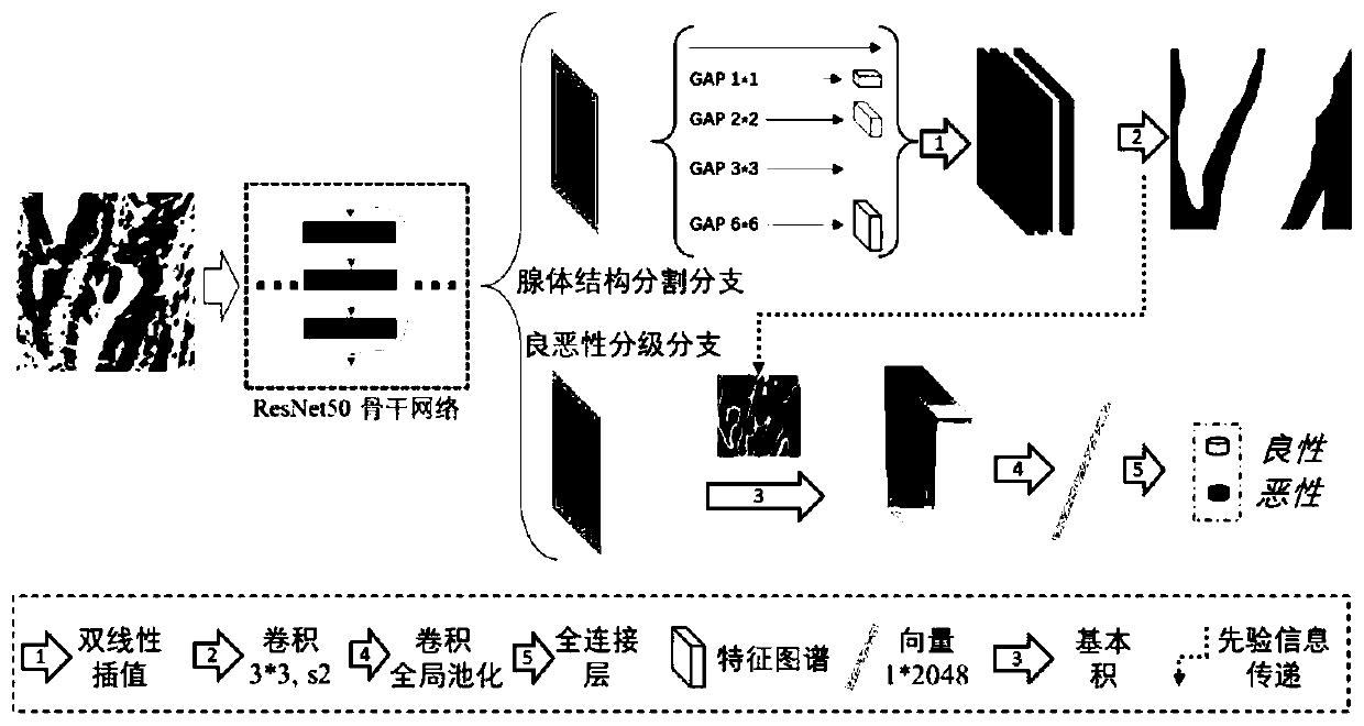 Adenocarcinoma pathological image analysis method based on priori perception and multi-task learning