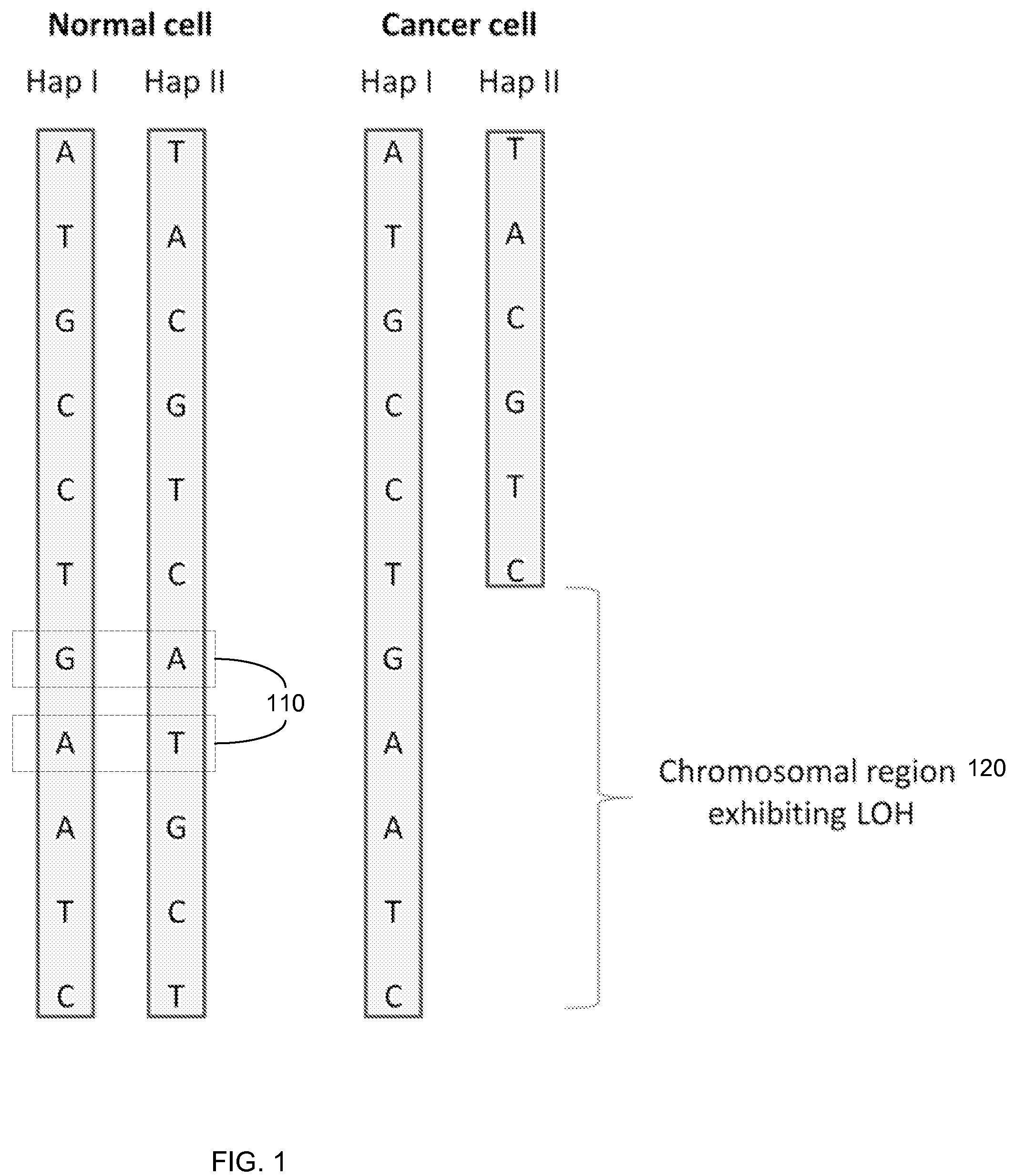 Detection of genetic or molecular aberrations associated with cancer