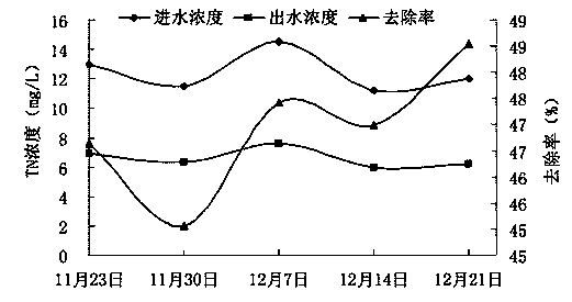 Application of berberis julianae schneid in purification of livestock and poultry breeding biogas slurry