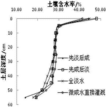 Intermittent combination and irrigation method for brackish water and freshwater in saline-alkali soil