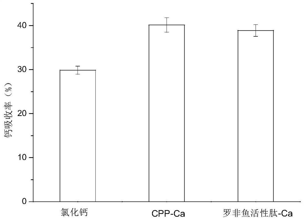 Tilapia calcium ion binding peptide as well as preparation method and application thereof