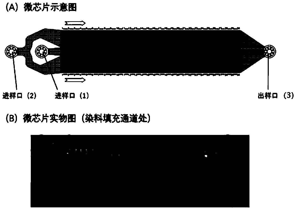 Fetal cell capturing module, application method thereof, micro-fluidic chip for fetal cell capturing and application method of micro-fluidic chip for fetal cell capturing