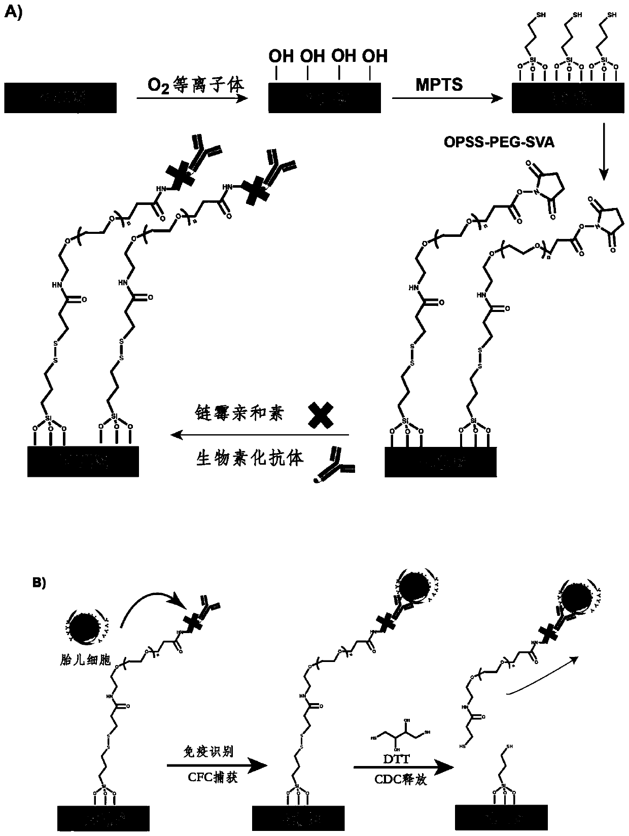 Fetal cell capturing module, application method thereof, micro-fluidic chip for fetal cell capturing and application method of micro-fluidic chip for fetal cell capturing