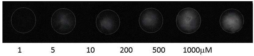 Method for detecting mercury ion on basis of fluorescence resonance energy transfer of paper chip