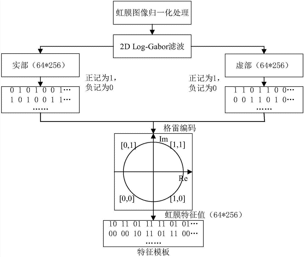 2D Log Gabor and composite coding method-based infrared iris authentication system and method