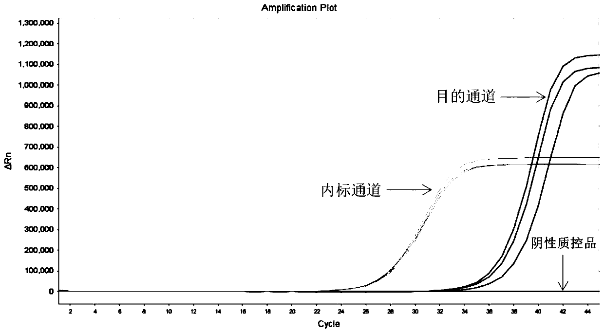 Kit for detecting KRAS gene mutation