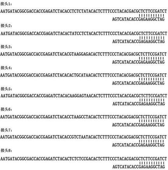 Detection kit for combined detection of chronic myeloid leukemia