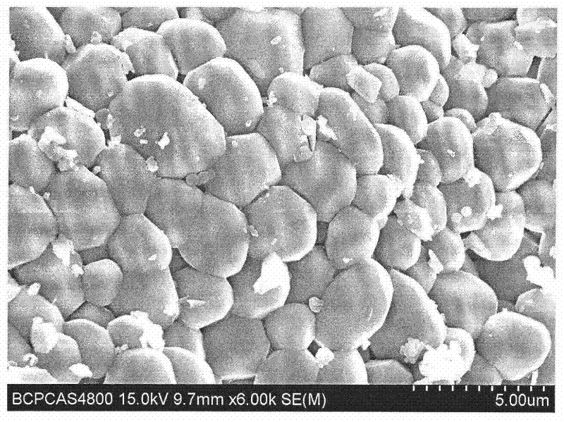 Fluorescent material used for PDP and preparation method thereof