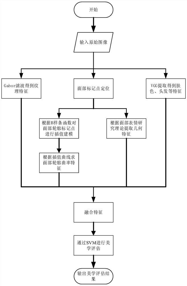 Facial aesthetics evaluation method based on visual facial form judgment and storage medium