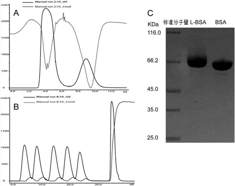 Albumin nano-particles and preparation method and use thereof