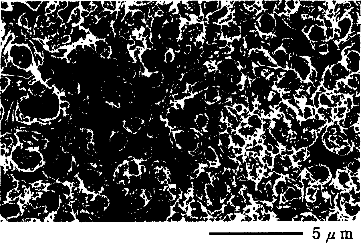 Magnesium or magnesium alloy article having electroconductive anodic oxidation coating on the surface thereof and method for production thereof