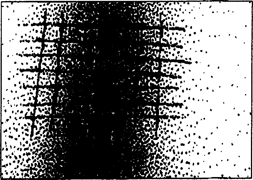 Magnesium or magnesium alloy article having electroconductive anodic oxidation coating on the surface thereof and method for production thereof