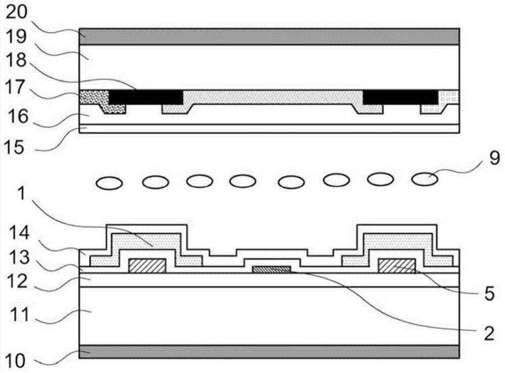 Liquid crystal display device