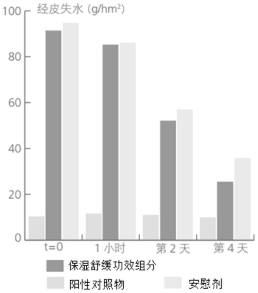 Essence lotion composition with moisturizing and soothing effects and preparation method and application thereof