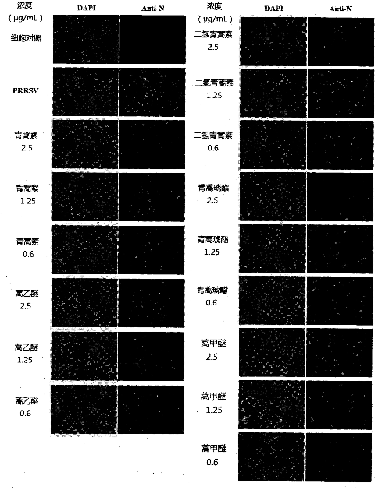 Application of artemisinin and derivative thereof in preparation of drug for preventing and treating porcine reproductive and respiratory syndrome