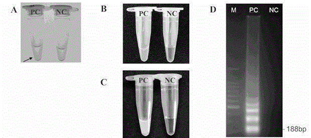 Method for rapidly detecting listeria monocytogenes in food