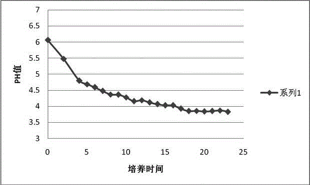 Screening method and application of lactobacillus plantarum