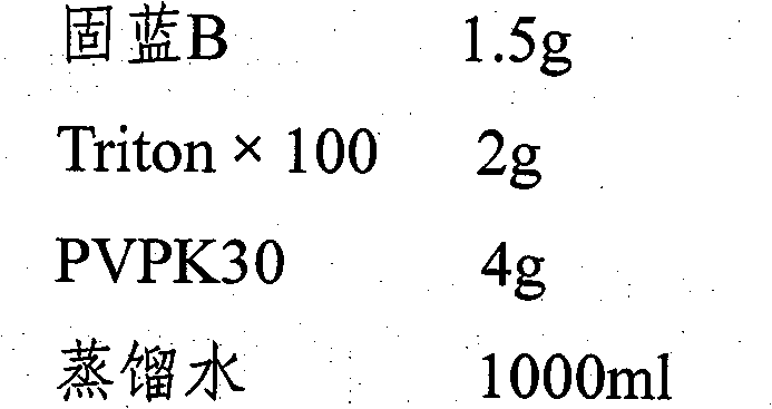 Kit for detecting aerobic bacteria in vaginal discharge and preparation method thereof