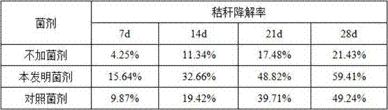 Application of bacillus licheniformis in straw degradation, microbial inoculant containing bacillus licheniformis, and application of microbial inoculant