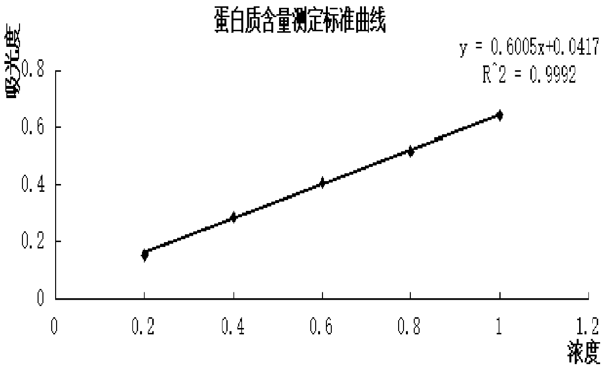 A kind of privet skin glue health beverage and preparation method thereof