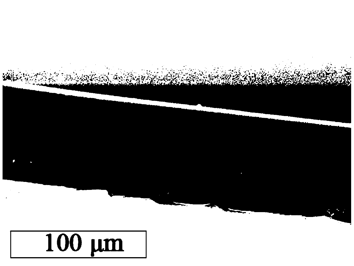 Metalloporphyrin/agarose freshness indicating label and preparation method thereof