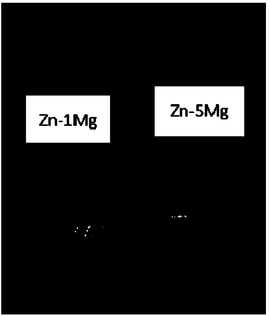 Zn-Mg zinc alloy and preparation method and application thereof