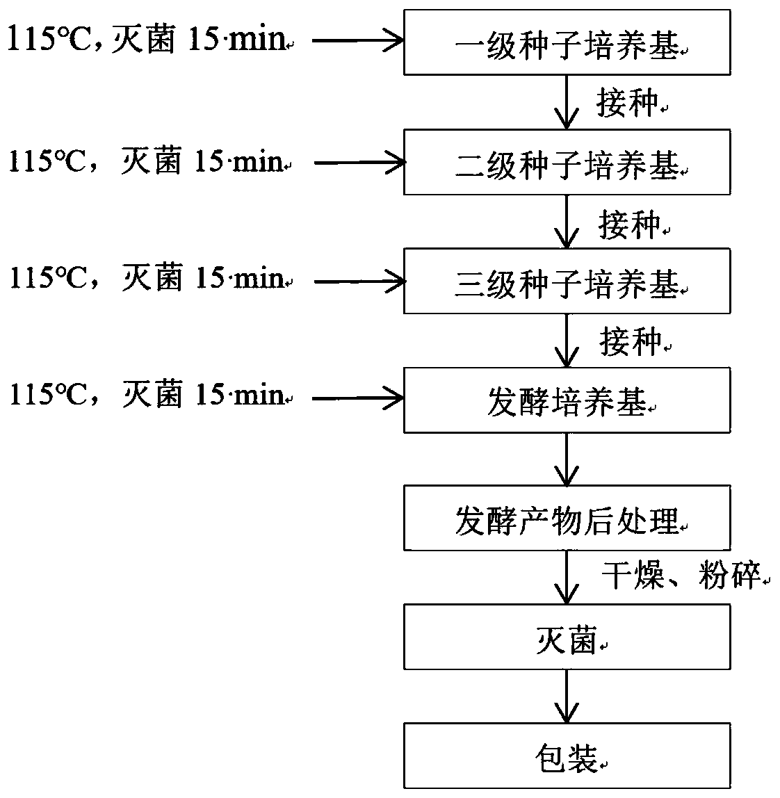 Method for preparing oudemansiella radicata nutrient powder by oudemansiella radicata fermentation method